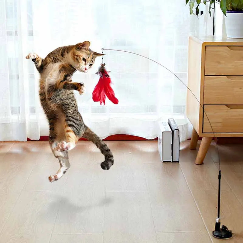 FeatherFun Interactive Cat Teaser TM