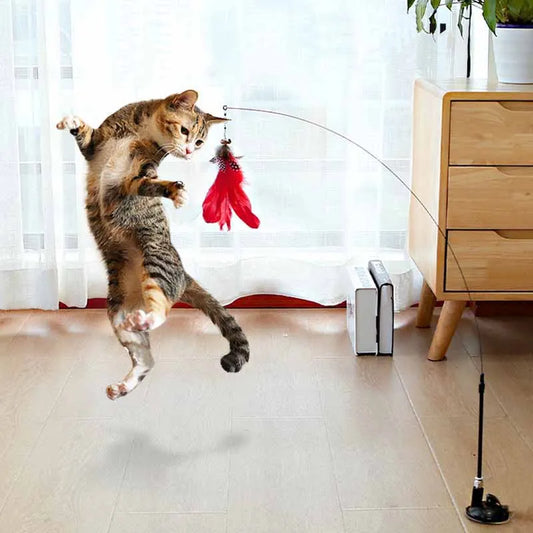 FeatherFun Interactive Cat Teaser TM