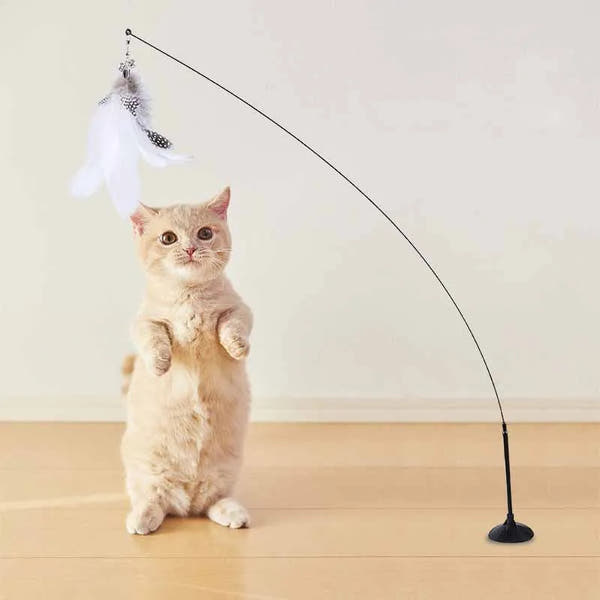 FeatherFun Interactive Cat Teaser TM