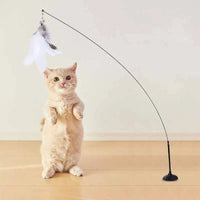 FeatherFun Interactive Cat Teaser TM