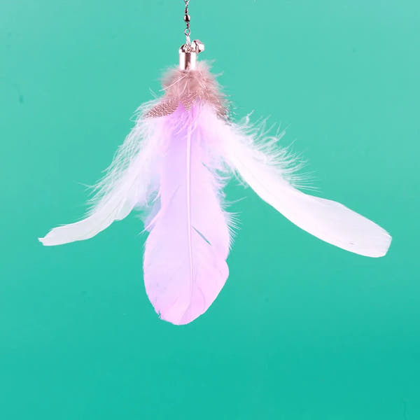 FeatherFun Interactive Cat Teaser TM
